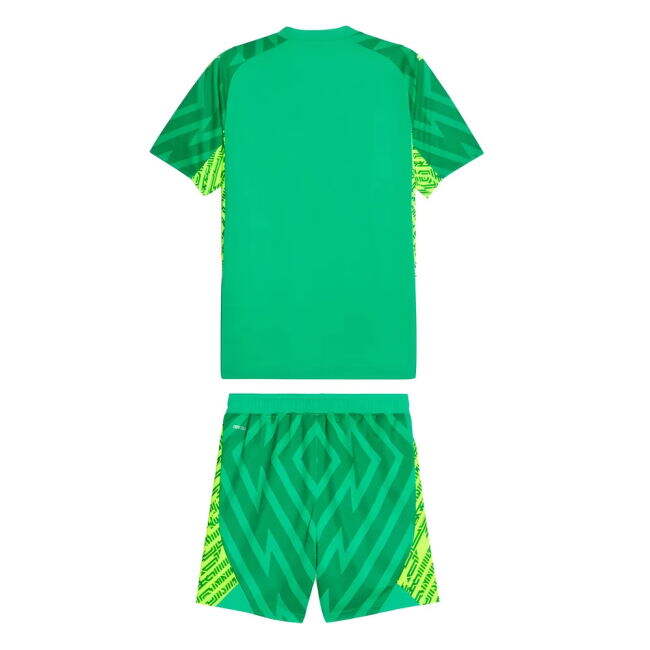 Fashionable Match-Grade 2023-2024 EPL Shirt - Green Adults #109263