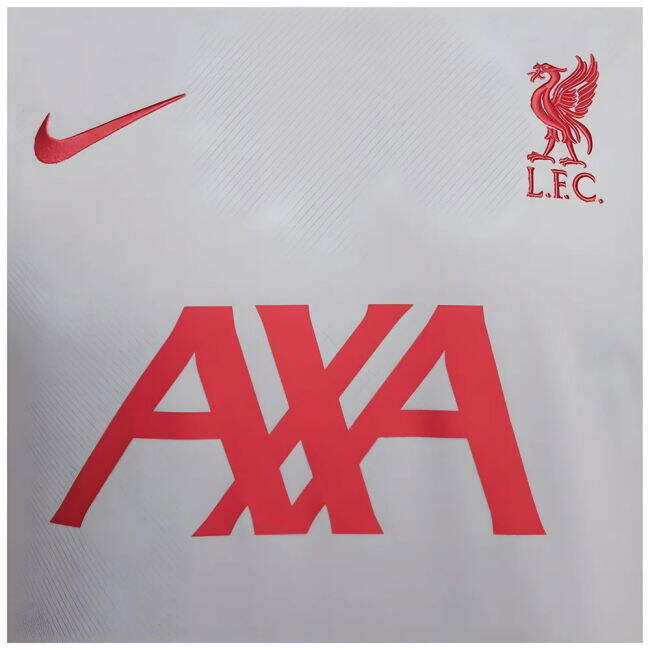2024-2025 Liverpool Strike Third Shirt (Grey)