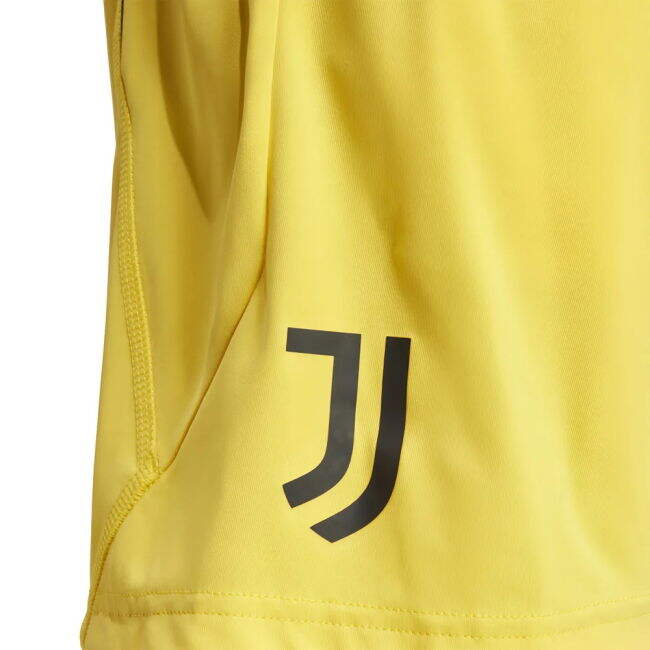 2023-2024 Juventus - Premium Quality - Top Tier - High Performance
