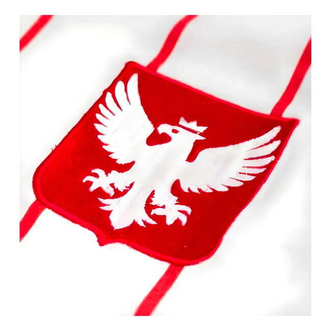 Special Edition Poland Home Rare Shirt 2025-2026