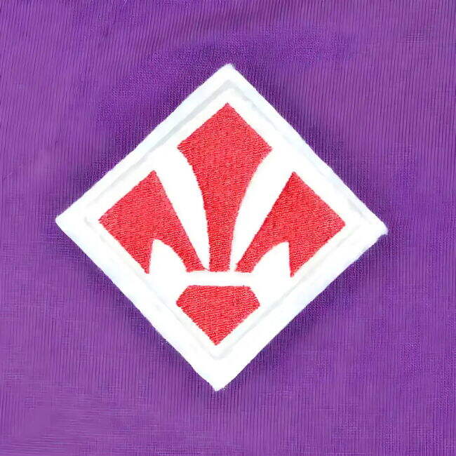 Fiorentina (fiorentina) Football Shirt - Authentic Fan Edition
