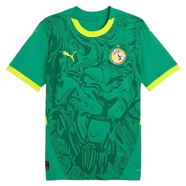 Adult Senegal Away Jersey 2024-2025