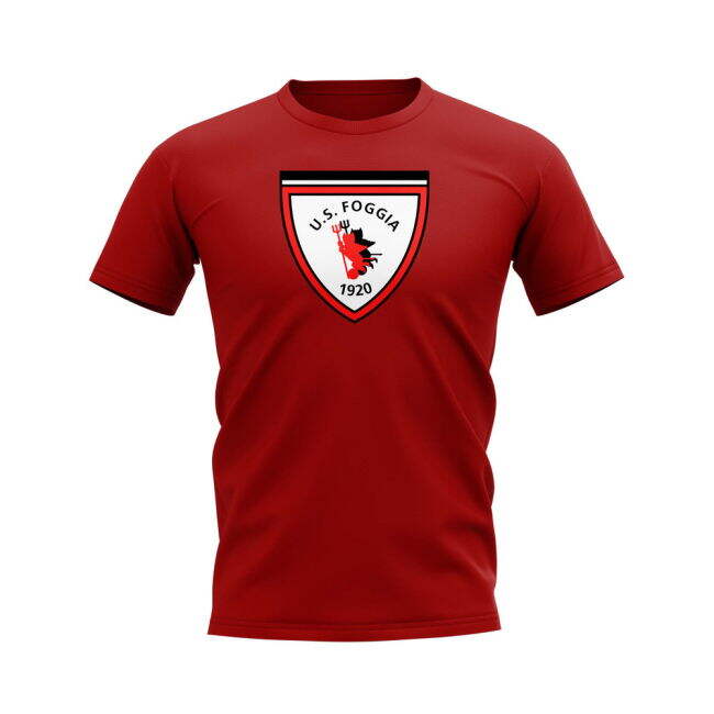 Passionate Durable Material Football Modern Style Supporter Shirt