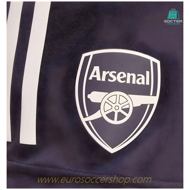 2024-2025 Arsenal Training Shorts (Aurora Black)