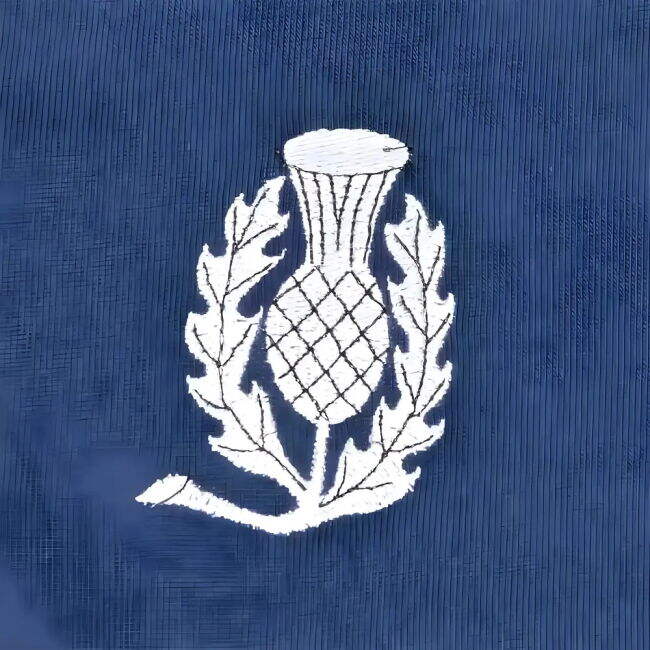 Official Licensed Licensed Football Club Thistle #1966 Modern Style...