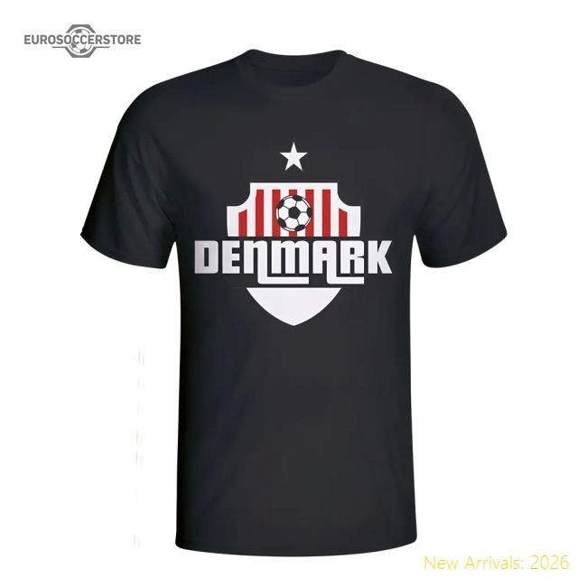 Denmark 2024-2025 Regular T-shirt - Premium Dri-fit Athletic
