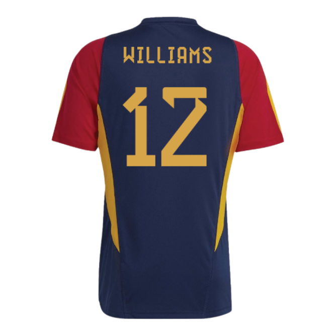 Williams 12 Top Quality Spain 2022-2023 Training Strip