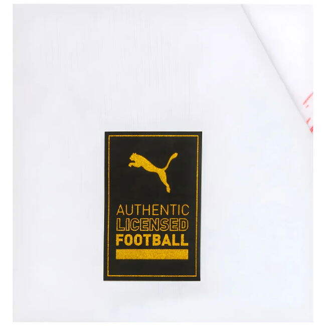 2024-2025 Home - Authentic Fan Edition - Borussia Dortmund