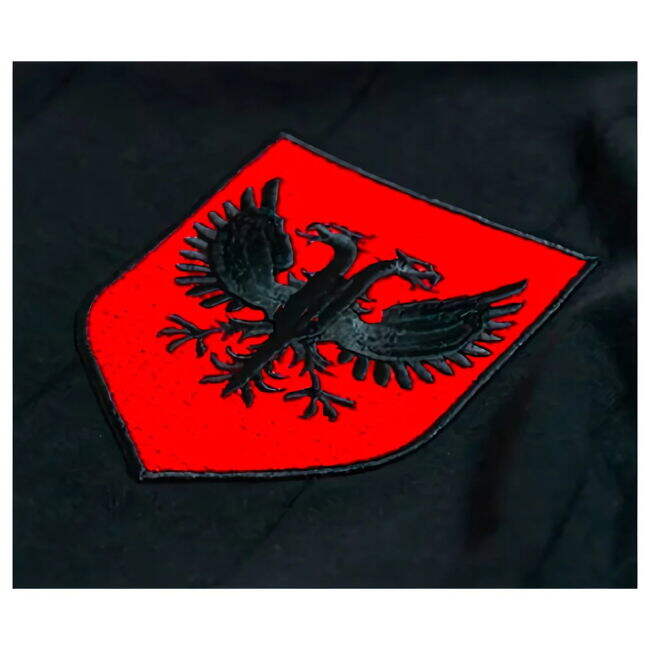 Match Worn Style Albania Elite Design Home Professional Jersey