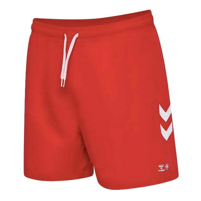 Denmark Senior Team Pro Level Shorts Elite Kit