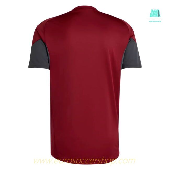 2025-2026 Arsenal EU Training Jersey (Burgundy)