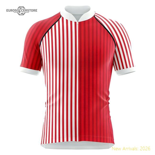 Official Denmark 2024-2025 Regular Shirt (den) Breathability
