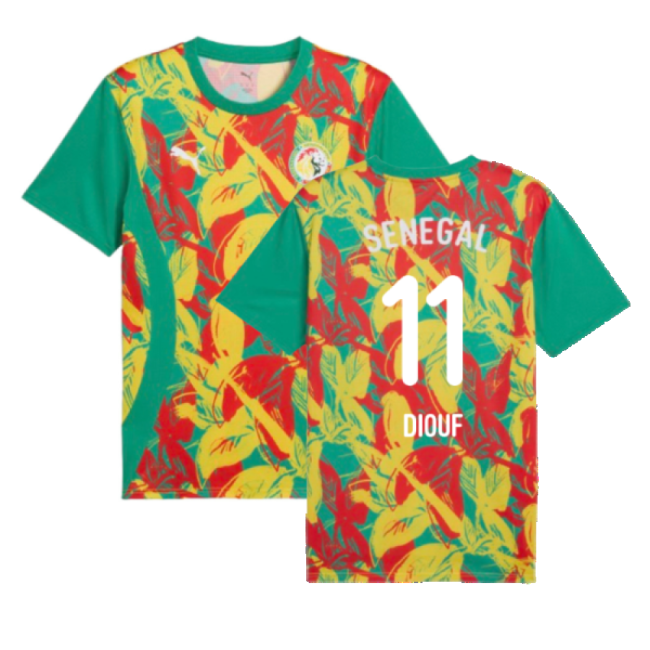 Senegal Prematch 20242025 Regular Jersey  Pro Quickdry