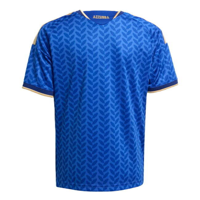 Professional Style Italy Top Level Home Player Jersey