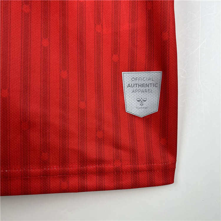 Southampton 2324 Home White Soccer Shirt Football shirt - Official