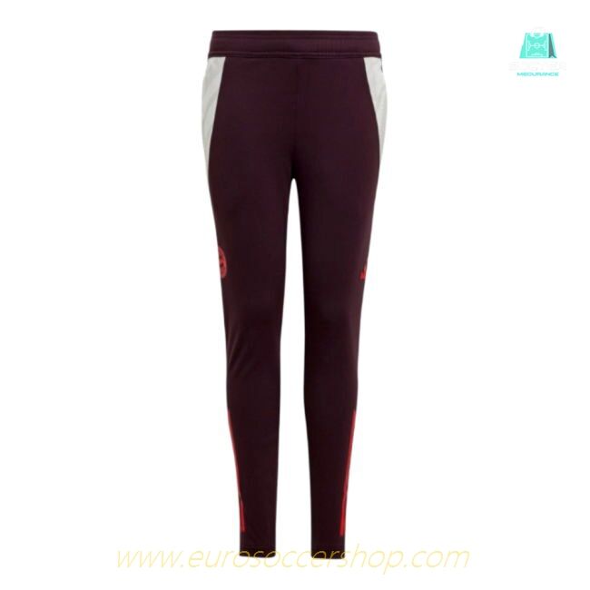 2024-2025 Bayern Munich Training Pants (Shadow Maroon) - Kids