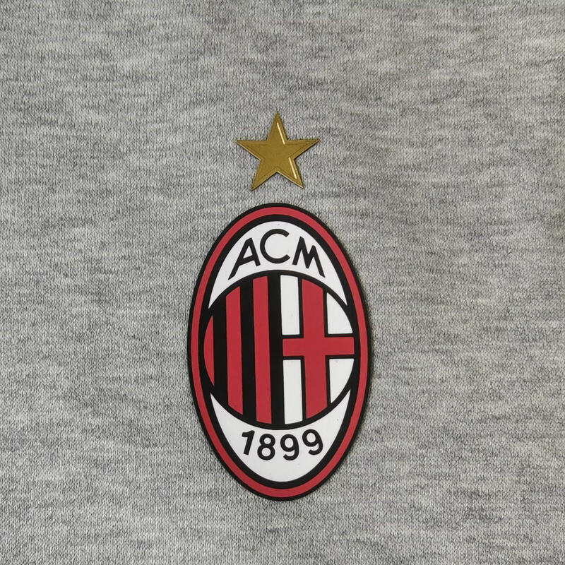 Professional Professional Grade AC Milan 2425 Grey Hoodie
