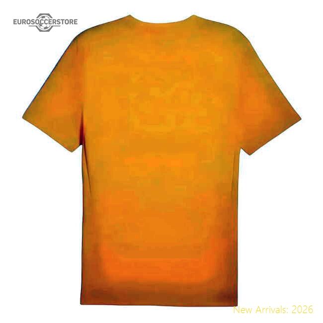 First-class 2024-2025 Borussia Dortmund Training Shirt (yellow)