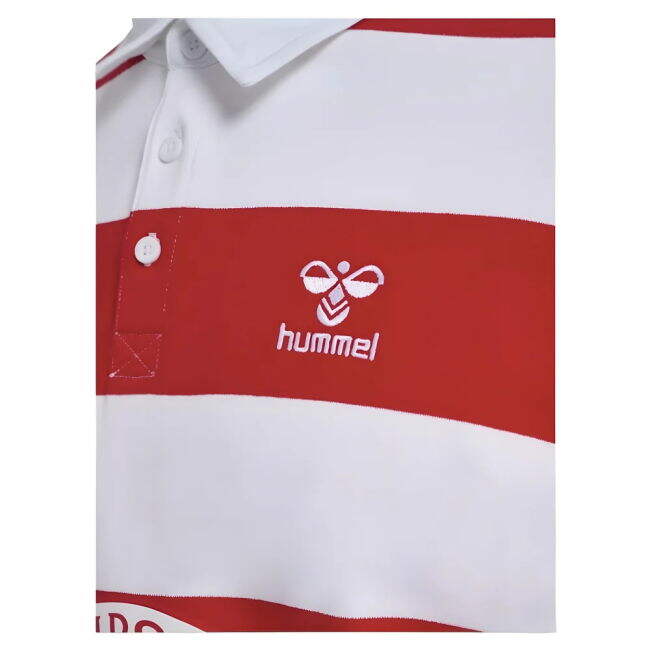 Denmark 2024-2025 Jersey - Adult