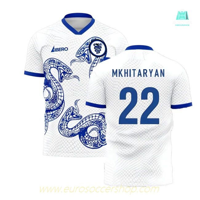 Inter 2025-2026 Away Concept Football Kit (Libero) (Mkhitaryan 22)